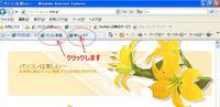 IE8.jpg
