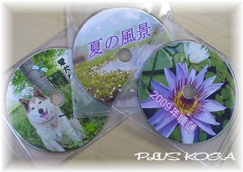 CD