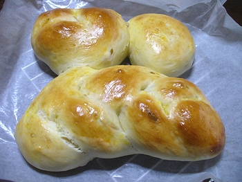 今朝のパン