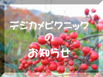 ピクニック
