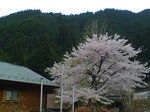 20080420171116.jpg