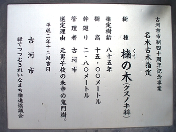 説明