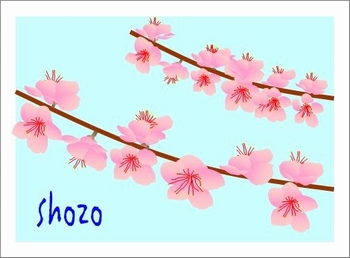 hana1