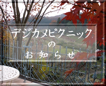 m点