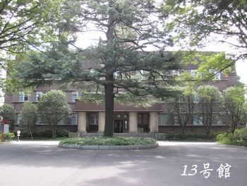 東大