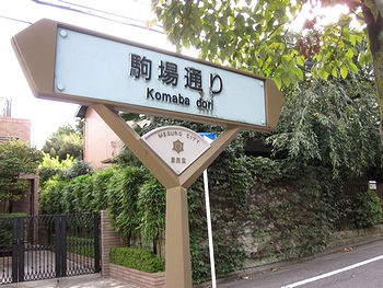 東大11