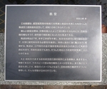 東大8