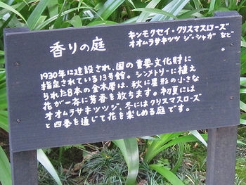 東大3