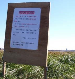 渡良瀬川3
